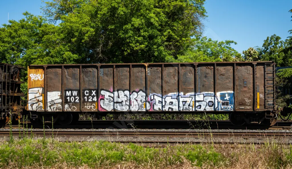 MWCX102124 - NORTH-AMERICA