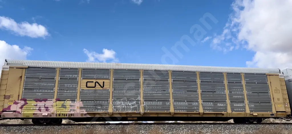 CN704391 - NORTH-AMERICA