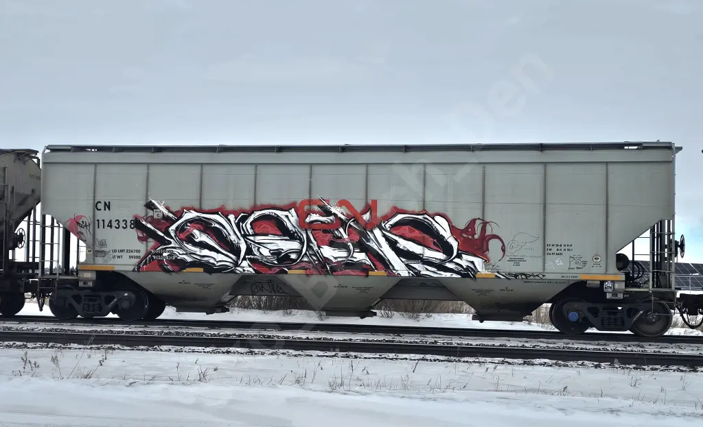 CN114338 - NORTH-AMERICA