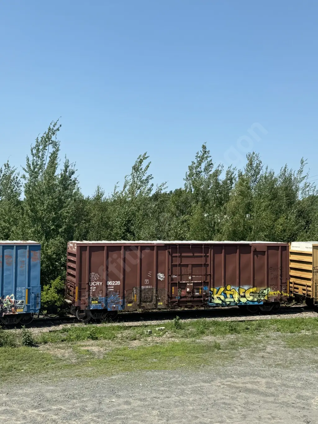 UCRY86228 - NORTH-AMERICA