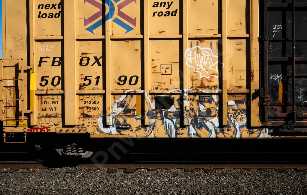 FBOX505190 - NORTH-AMERICA