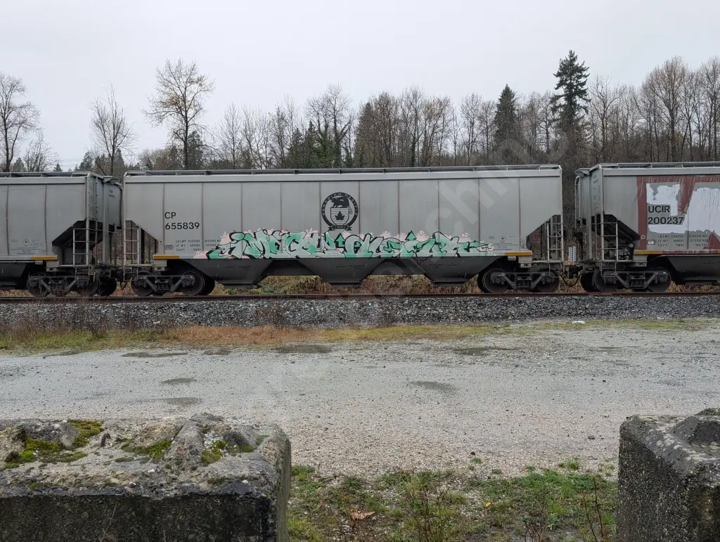 CP655839 - NORTH-AMERICA