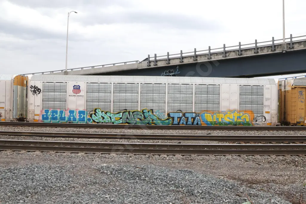 UP801288 - NORTH-AMERICA