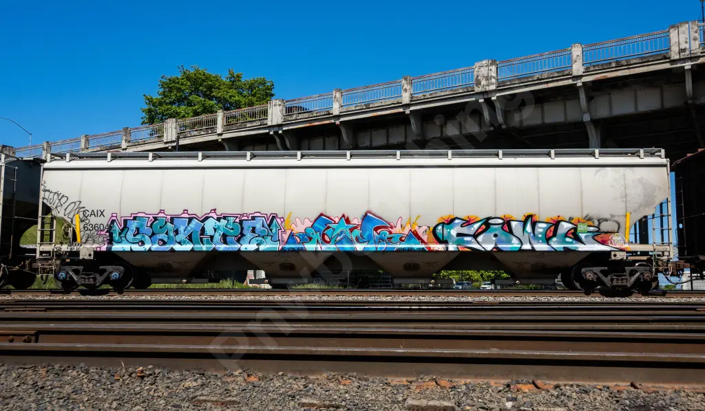 CAIX636042 - NORTH-AMERICA