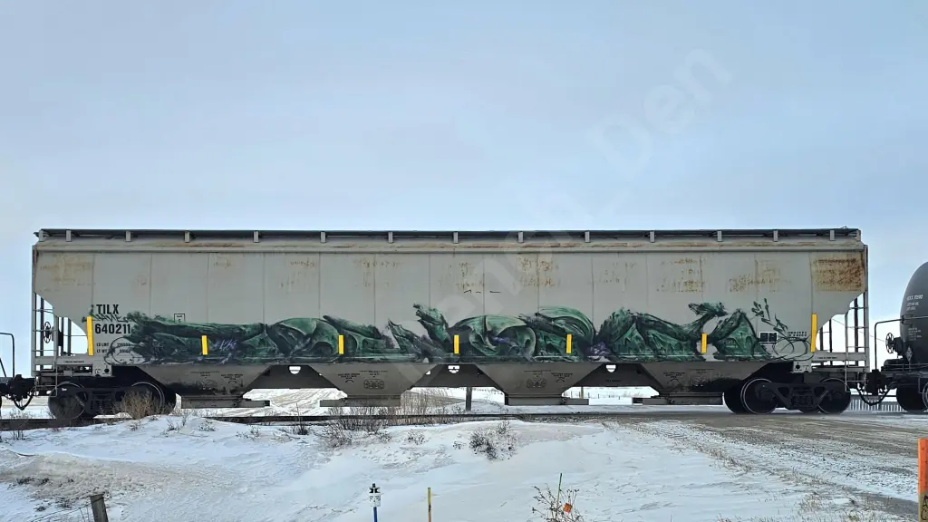 TILX640211 - NORTH-AMERICA