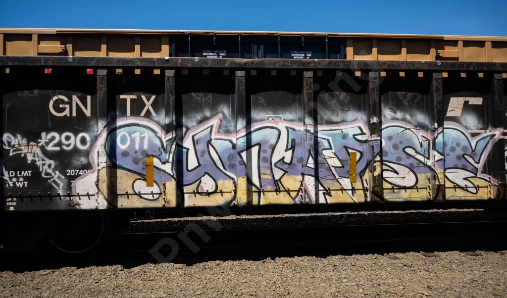GNTX290011 - NORTH-AMERICA