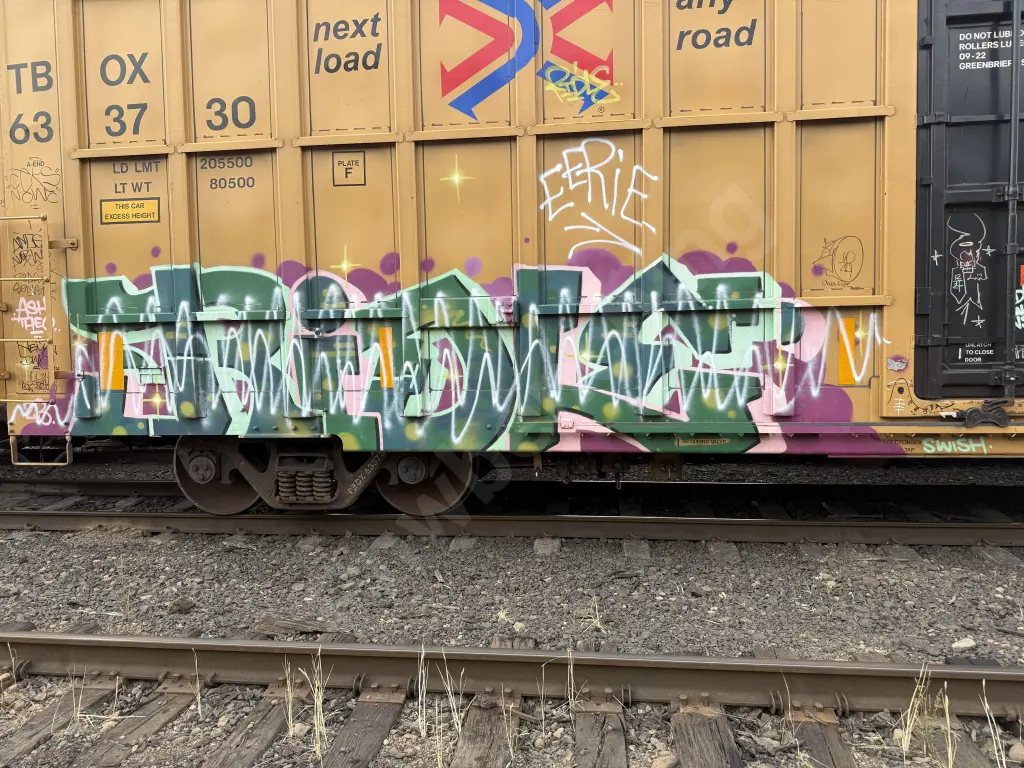 TBOX633730 - NORTH-AMERICA