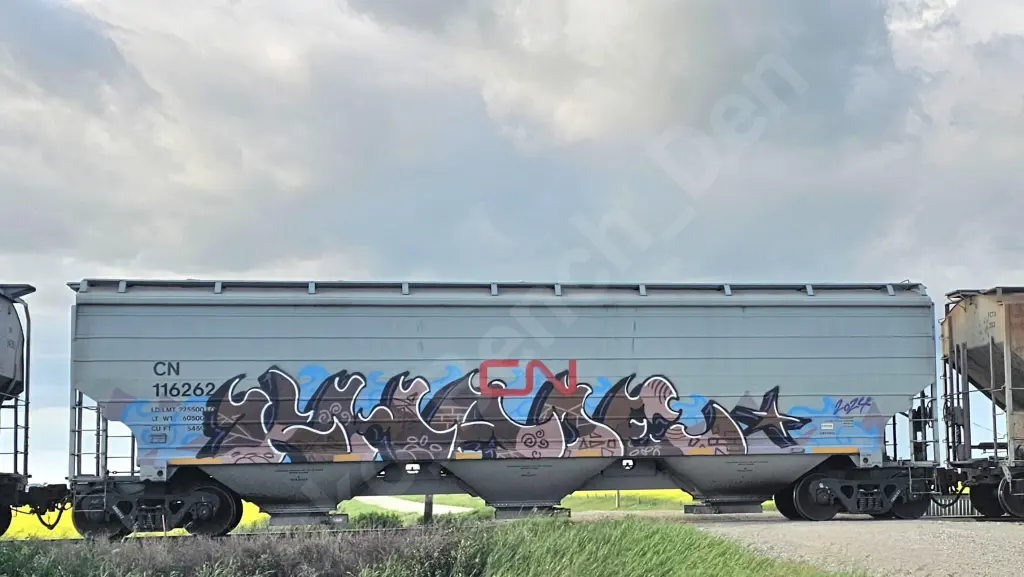 CN116262 - NORTH-AMERICA