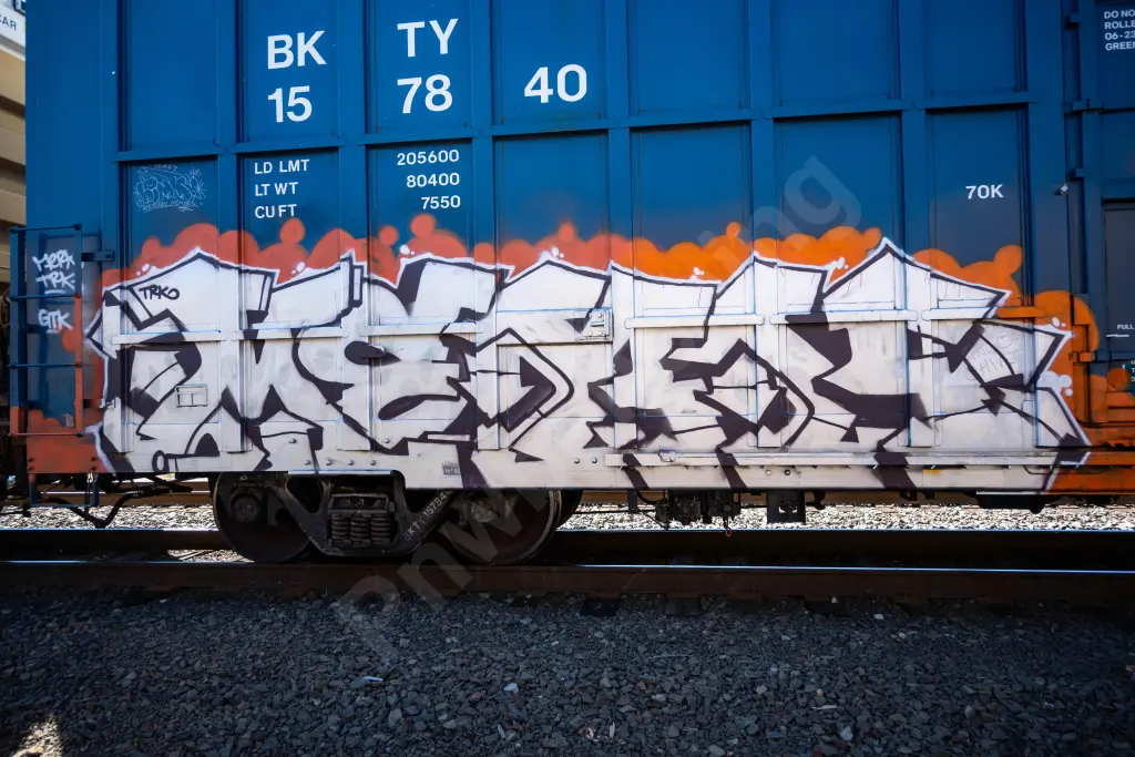 BKTY157840 - NORTH-AMERICA