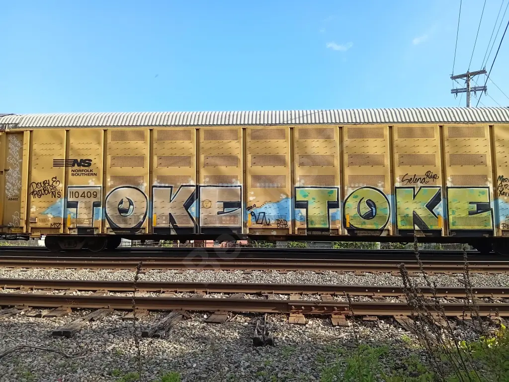 NS110409 - NORTH-AMERICA