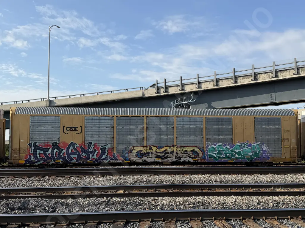 TTGX695569 - NORTH-AMERICA