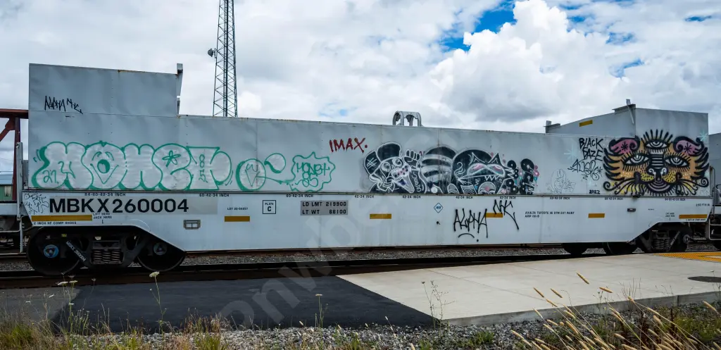 MBKX260004 - NORTH-AMERICA