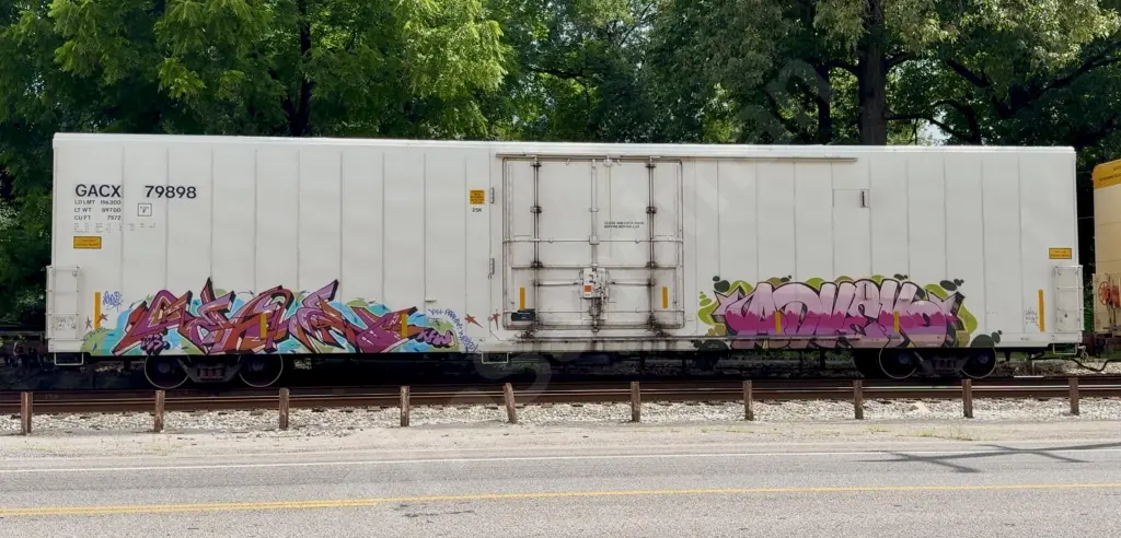 GACX79898 - NORTH-AMERICA