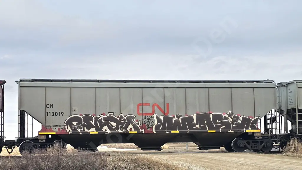 CN113019 - NORTH-AMERICA