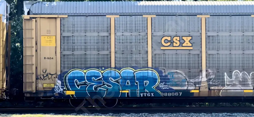 TTGX988067 - NORTH-AMERICA