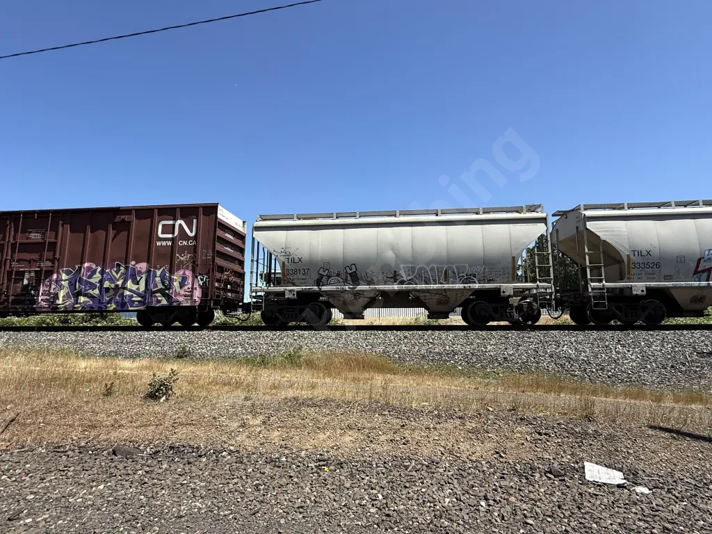 TILX338137 - NORTH-AMERICA