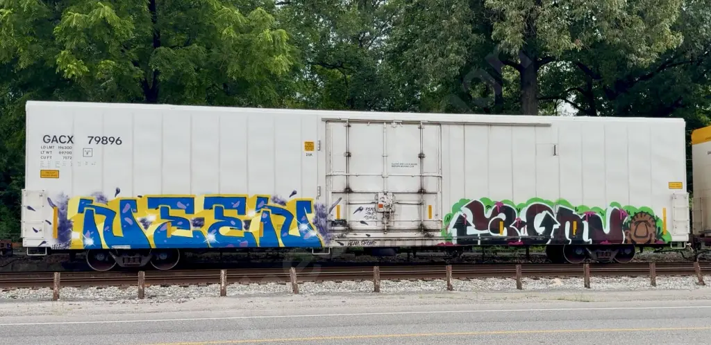 GACX79896 - NORTH-AMERICA