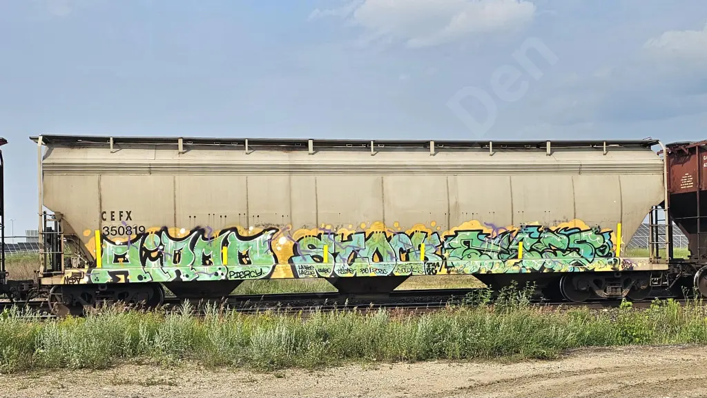 CEFX350819 - NORTH-AMERICA