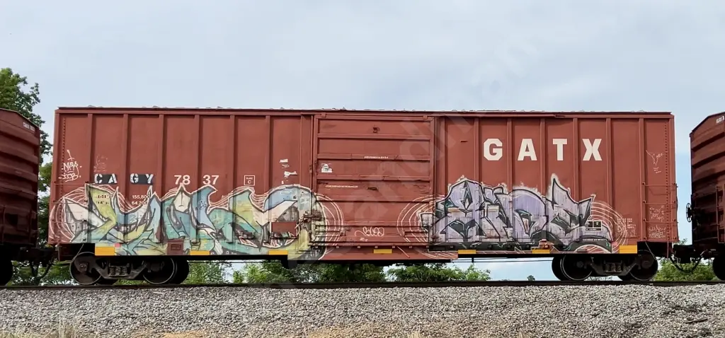 CAGY7837 - NORTH-AMERICA