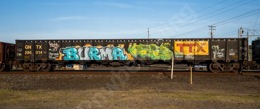 GNTX296014 - NORTH-AMERICA