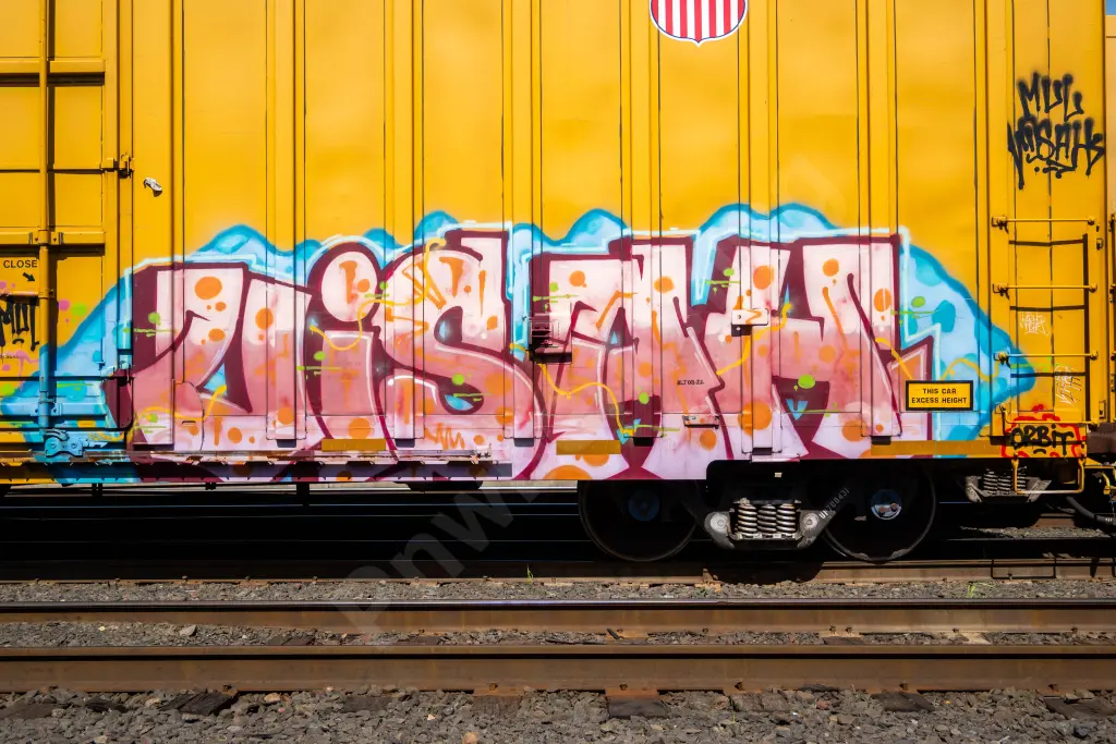 UP700431 - NORTH-AMERICA