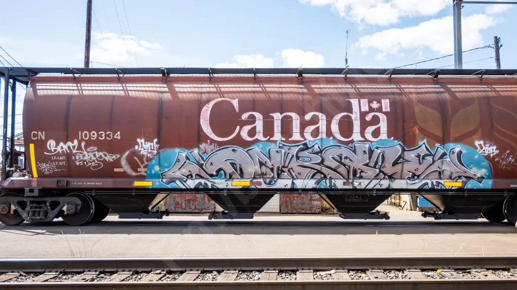 CN109334 - NORTH-AMERICA