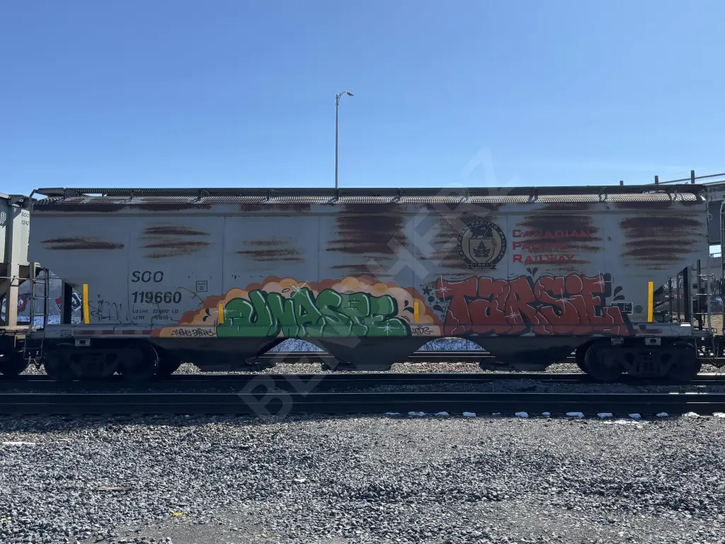 SOO119660 - NORTH-AMERICA