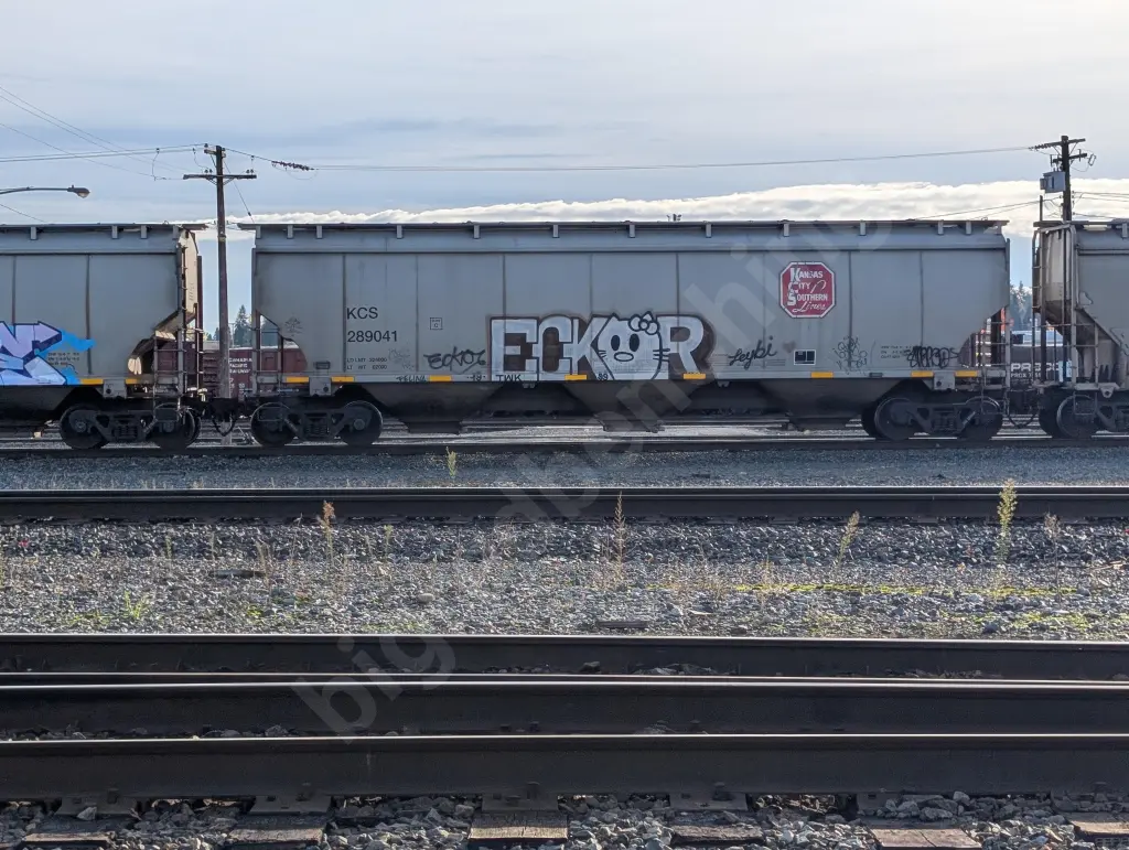 KCS289041 - NORTH-AMERICA