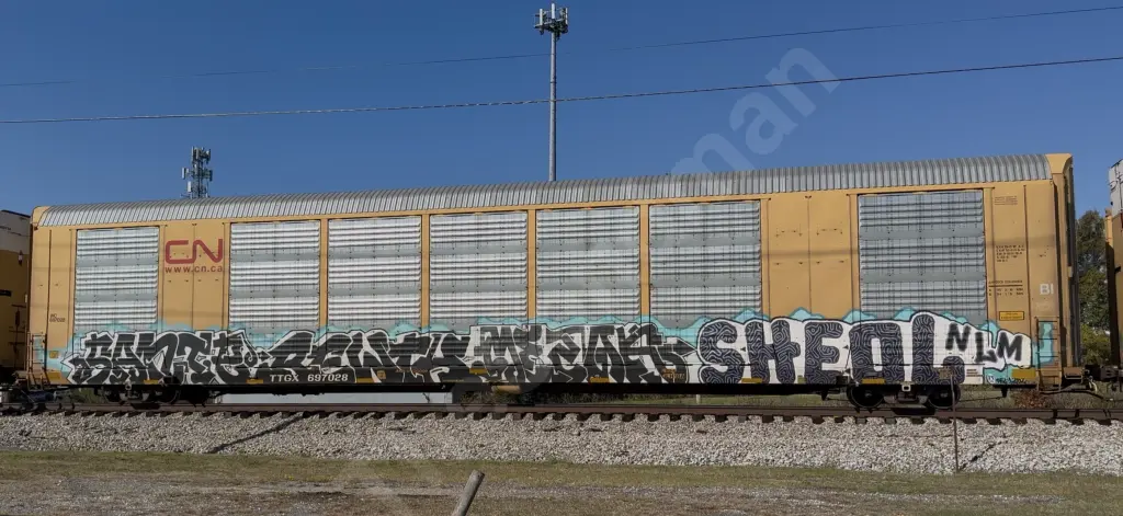 TTGX697028 - NORTH-AMERICA