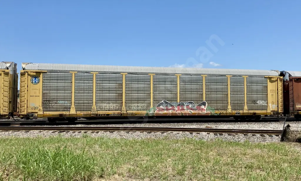 TTGX989033 - NORTH-AMERICA