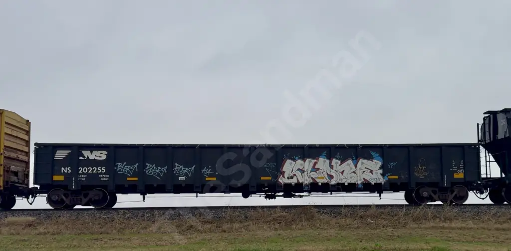 NS202255 - NORTH-AMERICA