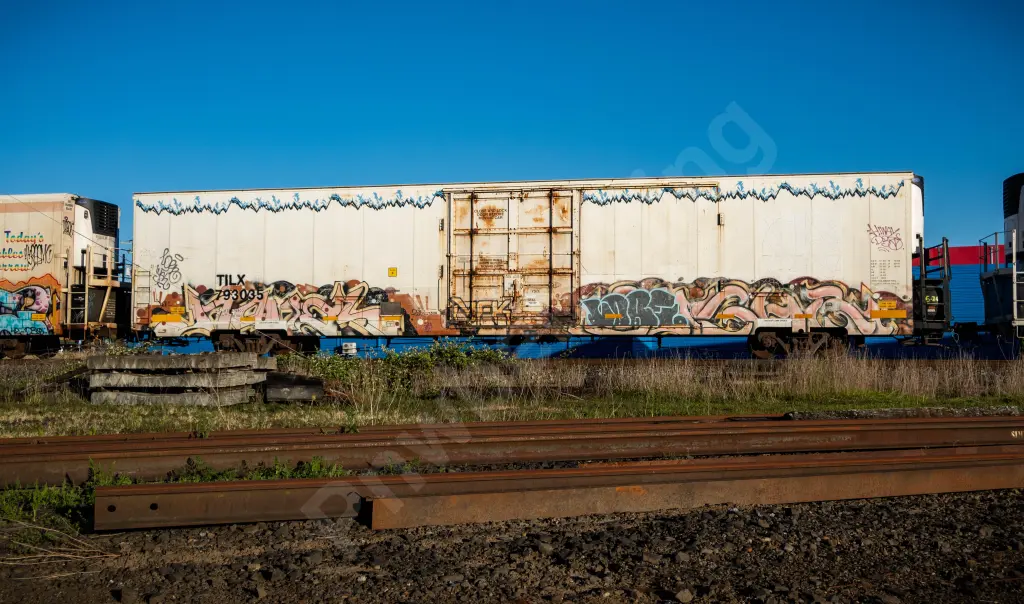 TILX793035 - NORTH-AMERICA