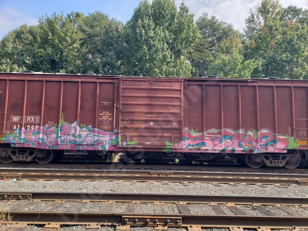 WFRX61297 - NORTH-AMERICA