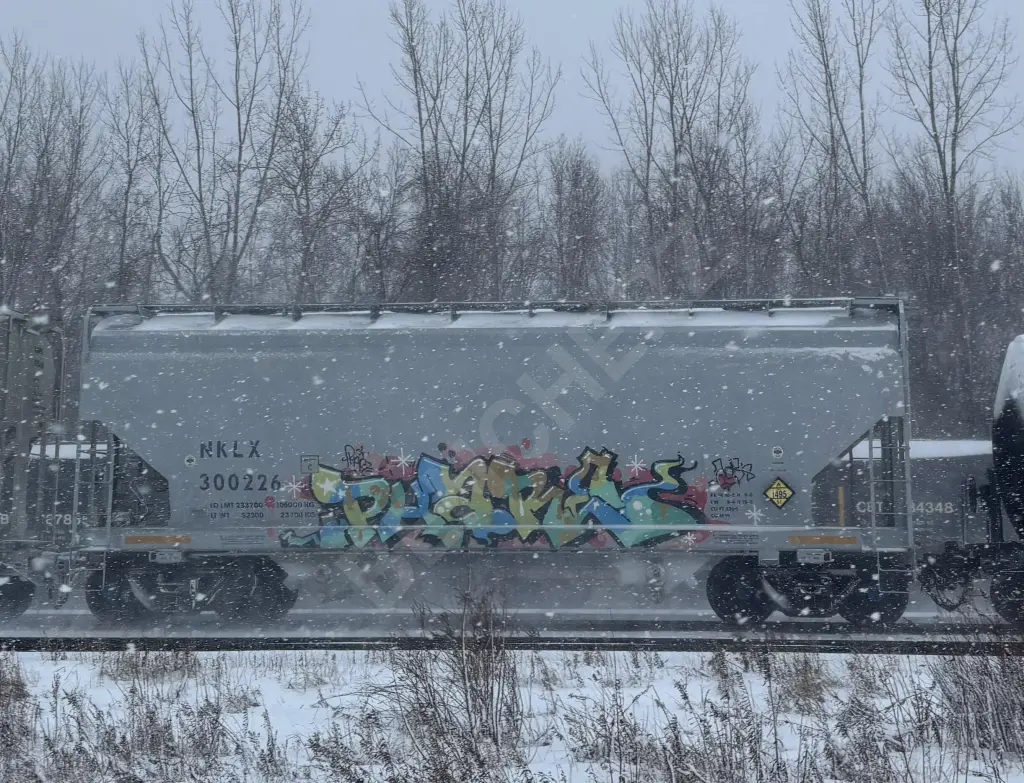 NKLX300226 - NORTH-AMERICA