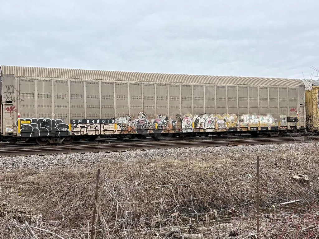 CP546016 - NORTH-AMERICA