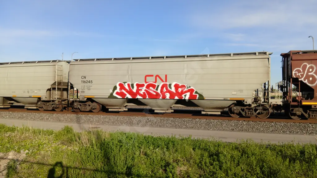 CN116245 - NORTH-AMERICA