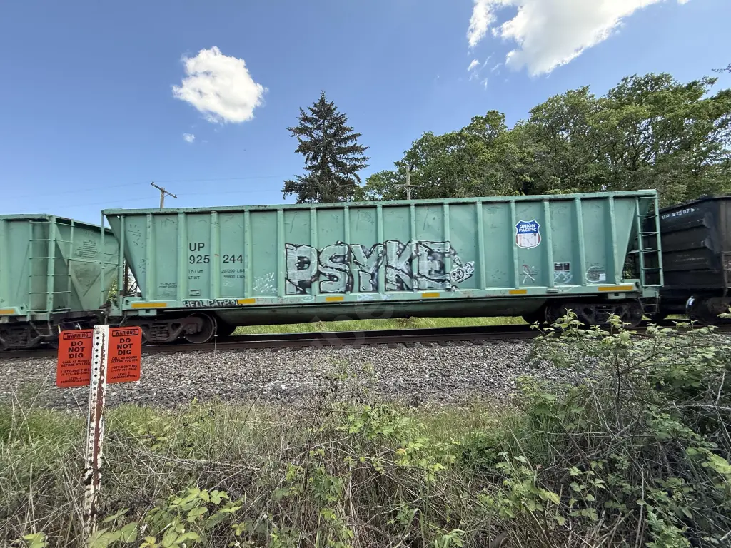 UP925244 - NORTH-AMERICA