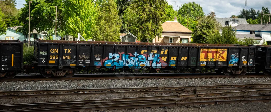 GNTX295915 - NORTH-AMERICA