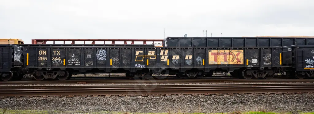 GNTX295344 - NORTH-AMERICA