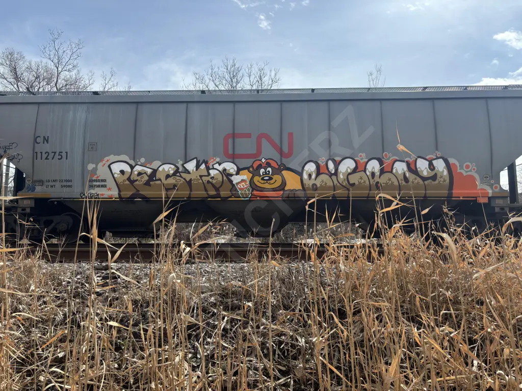 CN112751 - NORTH-AMERICA