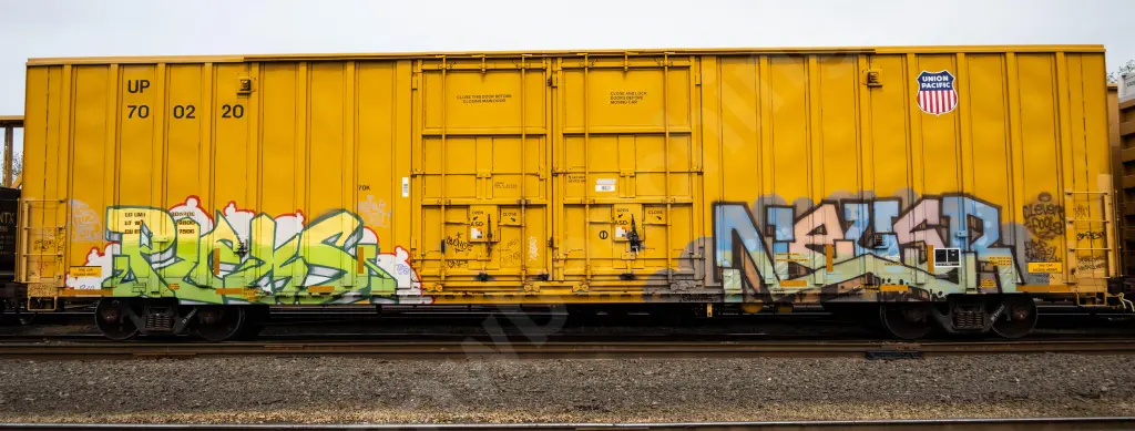 UP700220 - NORTH-AMERICA