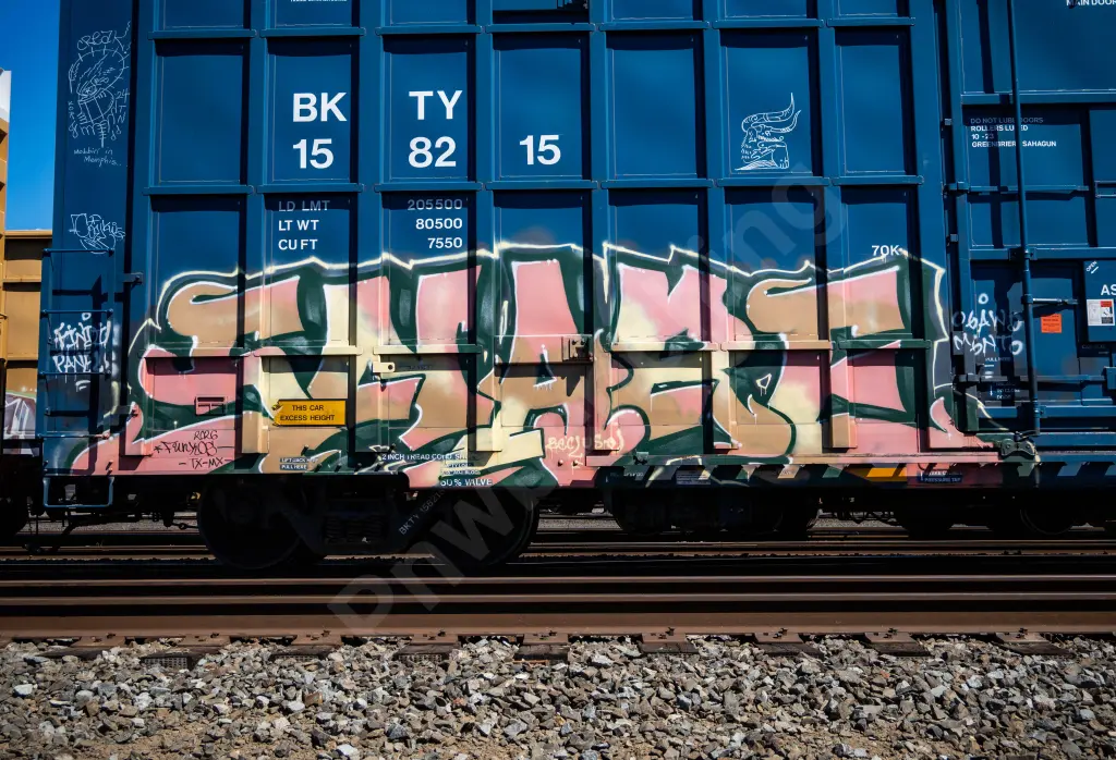 BKTY158215 - NORTH-AMERICA
