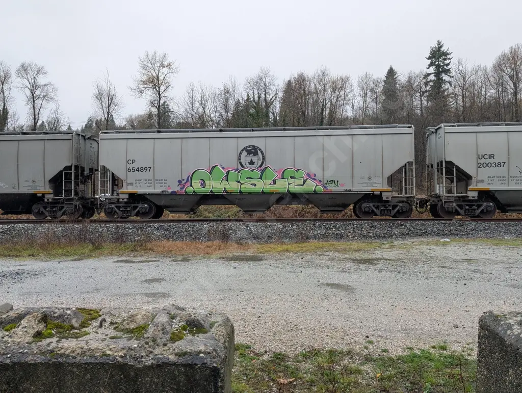 CP654897 - NORTH-AMERICA