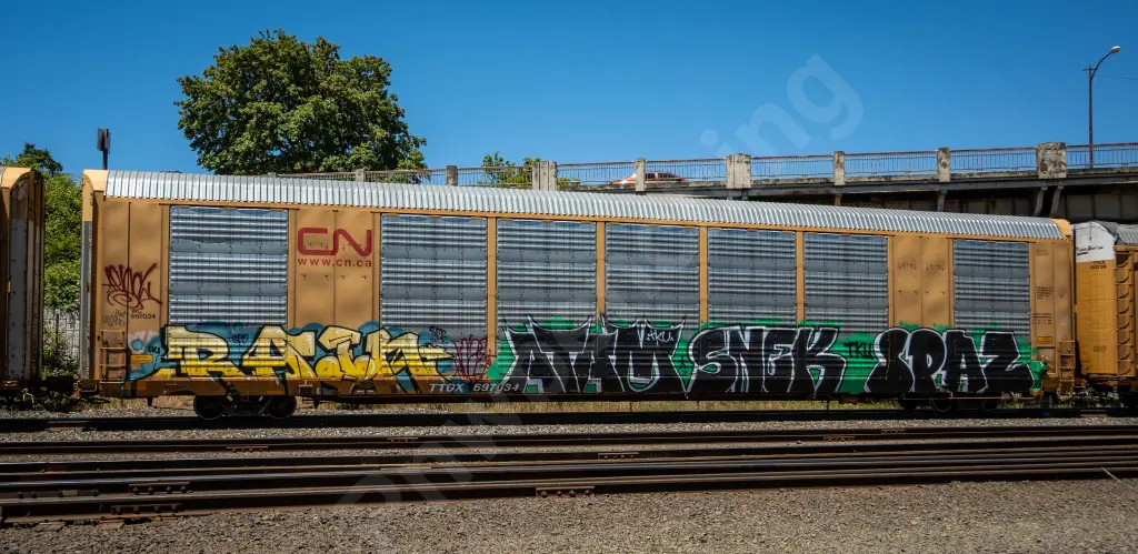 TTGX697034 - NORTH-AMERICA