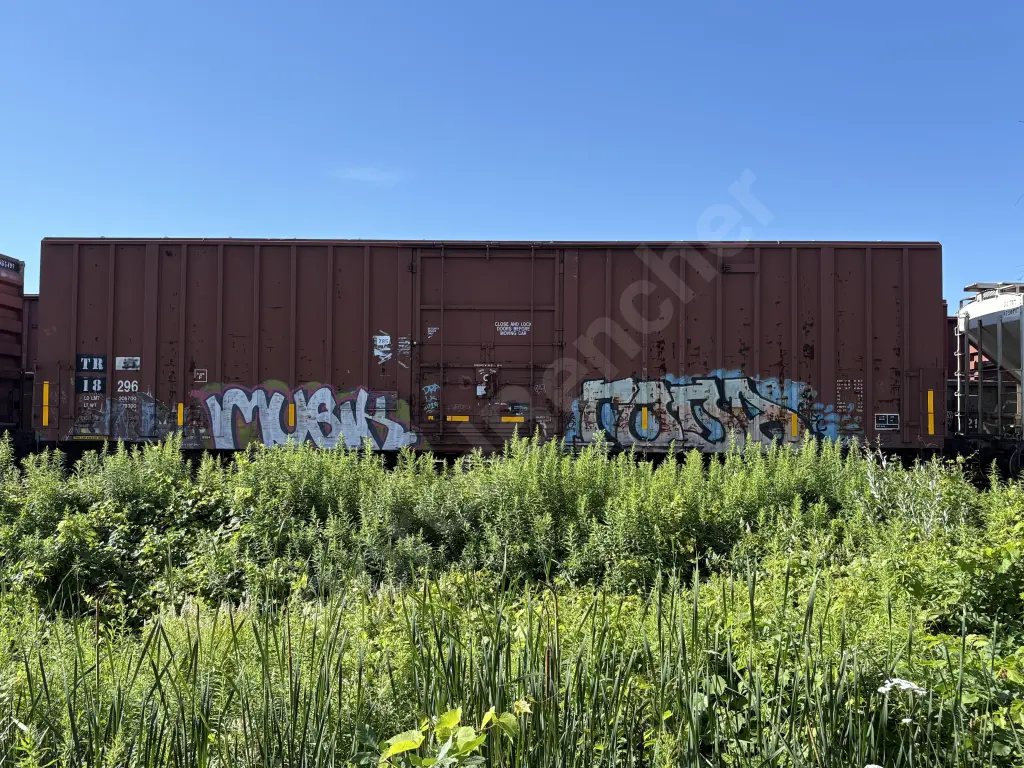 TR18396 - NORTH-AMERICA