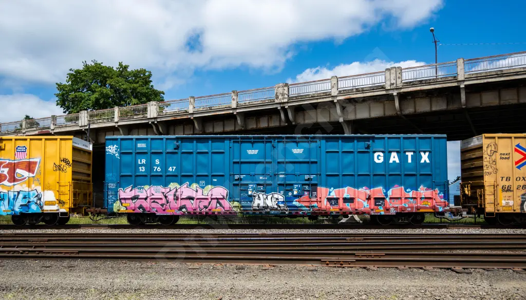 LRS137647 - NORTH-AMERICA