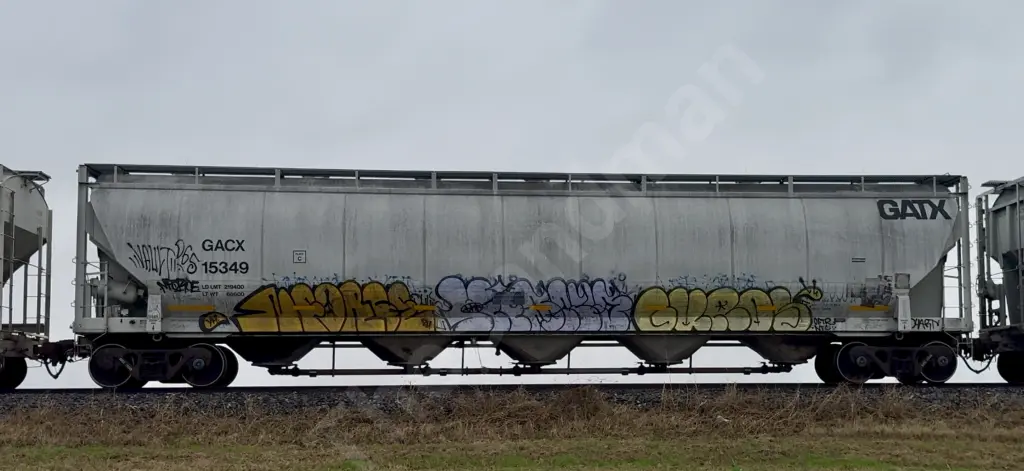 GACX15349