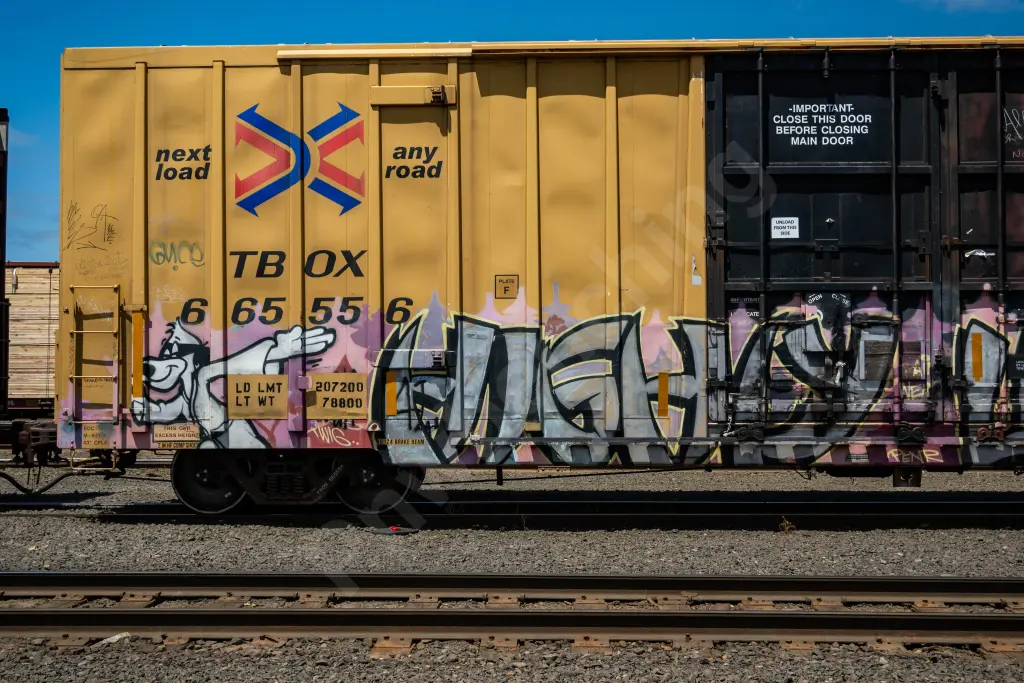 TBOX665556 - NORTH-AMERICA