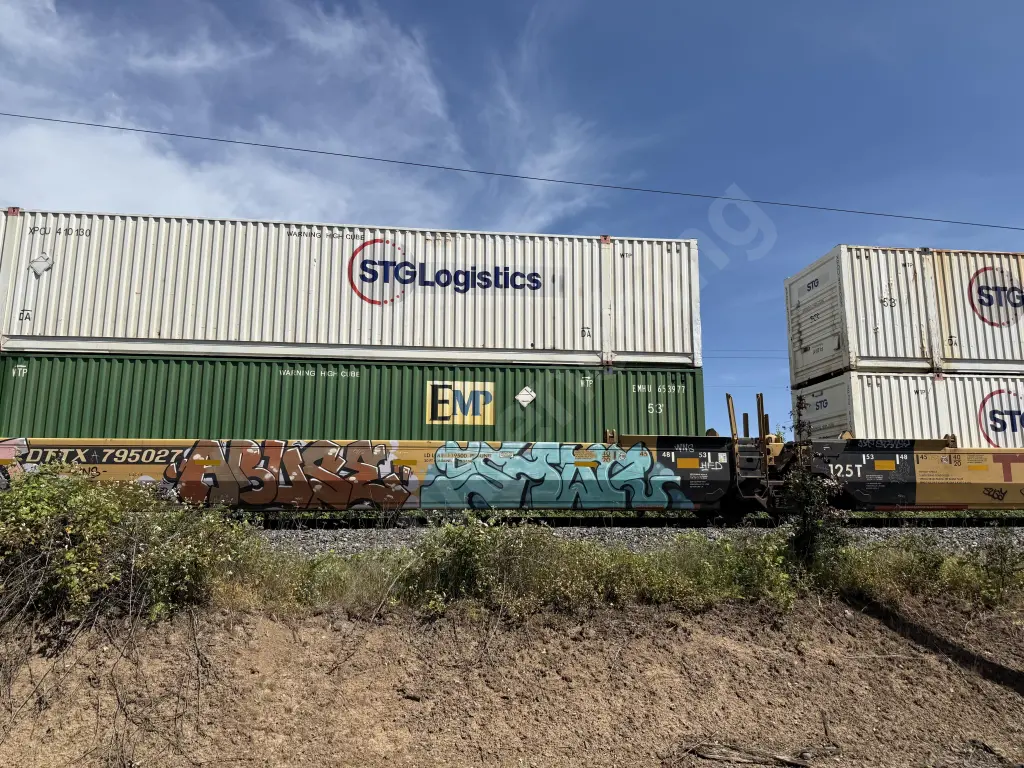 DTTX795027 - NORTH-AMERICA