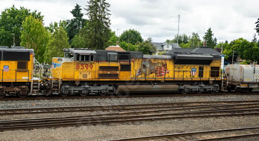 UP8599 - NORTH-AMERICA